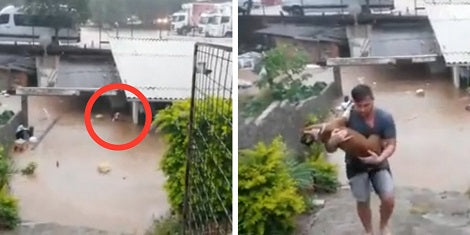 Brave Man Saves Neighbor's Pup From Flooded House Before It Collapses