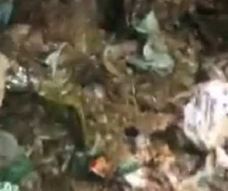 Heroes Rescue Tiny Puppy Trapped Under Heaps Of Trash After Hearing Cries Of Help