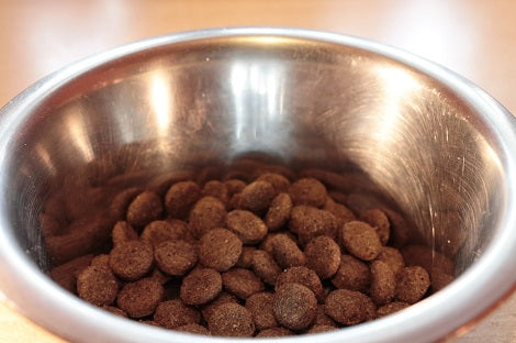 FDA Issues Warning To Pet Parents About Link Between Grain-Free Dog Foods And Heart Disease
