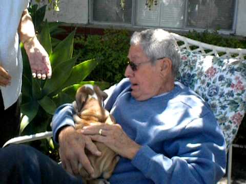 For Years This Grandfather Begged His Wife For An English Bulldog. Then One Day...