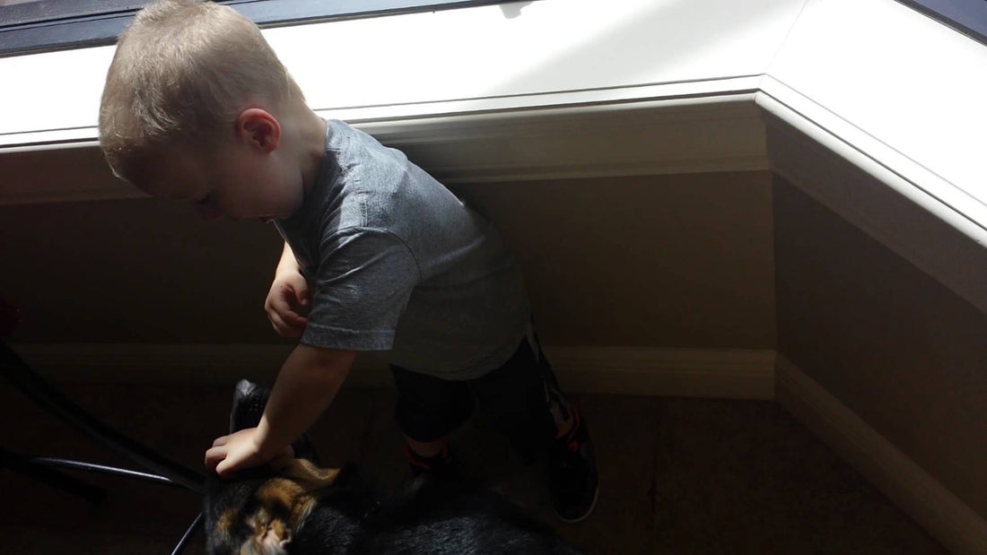 German Shepherd Tickling A Baby Is The Best Thing You'll See Today!