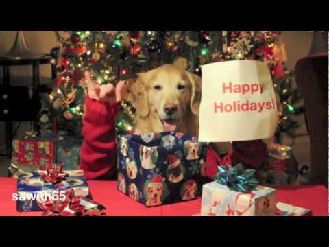 Ginger The Golden Retriever Wishes You A Merry Christmas!