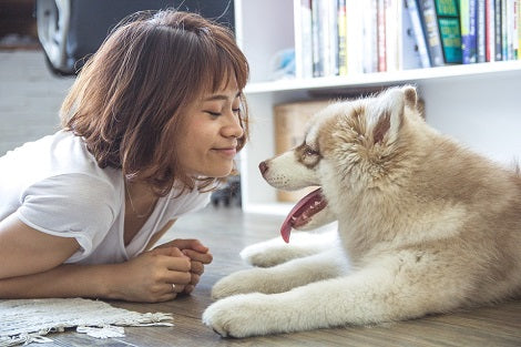 Does Your Pup Care For You? Here Are 5 Signs They Absolutely Love You!