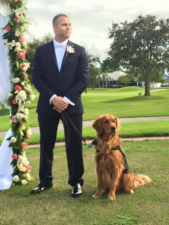Wounded Veteran Chooses Golden Retriever As Best Man At His Wedding!