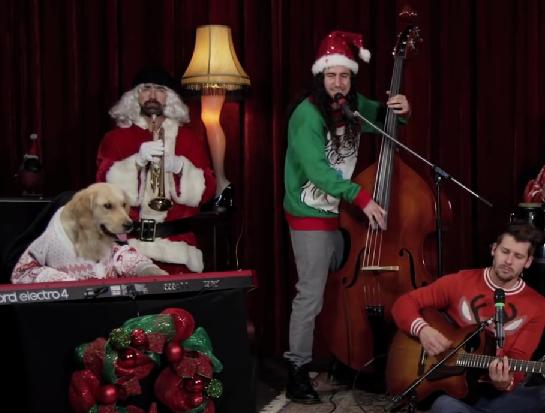 Golden Retriever Is Playing The Keyboard In This Christmas Video!