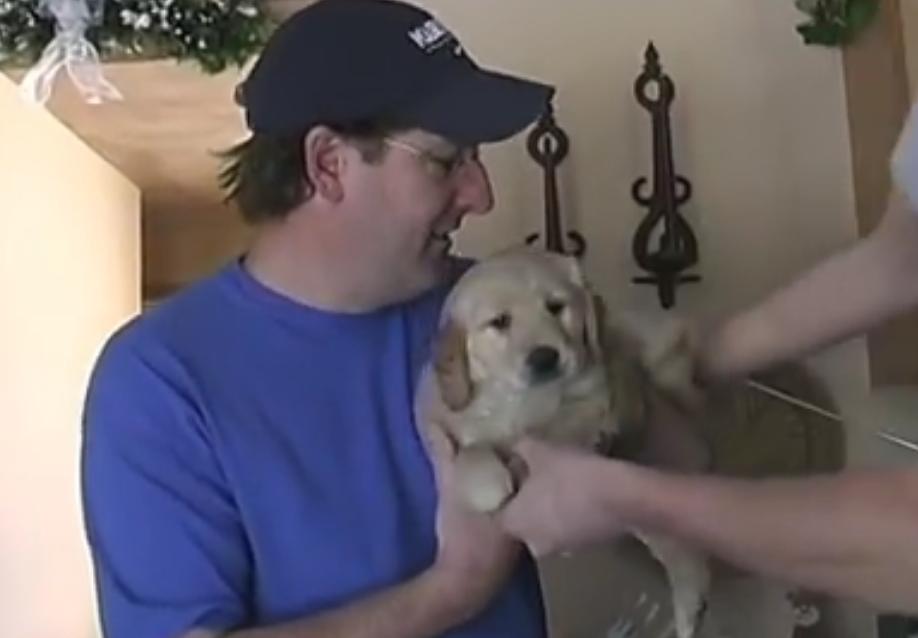 Getting Golden Retriever Puppy For Your Birthday Is Awesome!