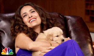 Salma Hayek and Jimmy Fallon Snuggle With Golden Retriever Puppies During A PUP Quiz!