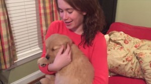 Golden Retriever Puppy Gets Her Forever Home And It's ADORABLE!