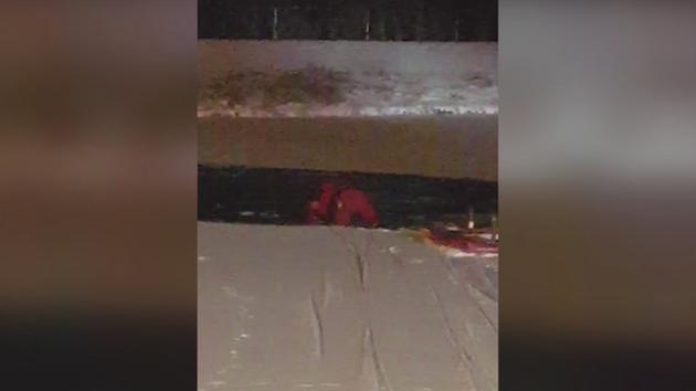 Firefighters RESCUE Golden Retriever from Icy Suburban Pond!