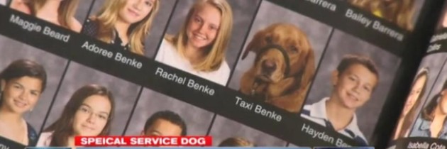 Golden Retriever Mix Got His Picture In The YEARBOOK!