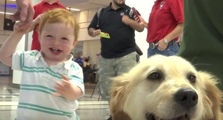 After 2 Years Apart Golden Retriever Reunites With Army Staff Sergeant!