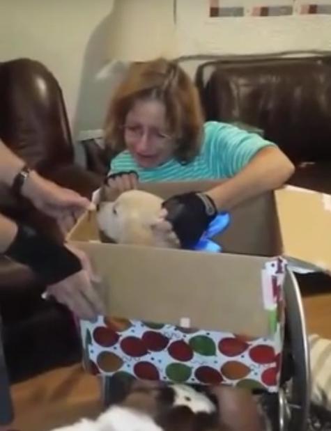 Mom's Surprised With A Golden Retriever Puppy And It Will Melt Your Heart!