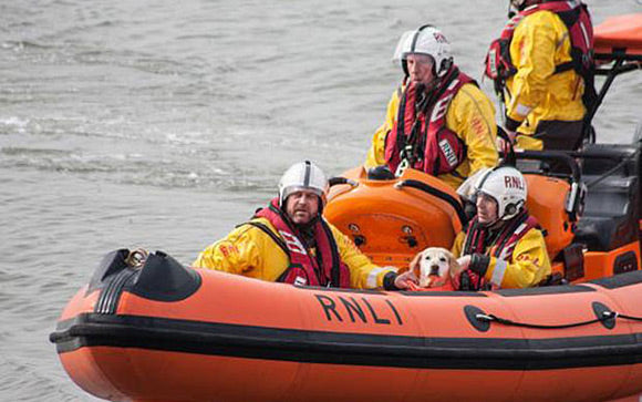 Drowning Golden Retriever Saved By Rescue Team!