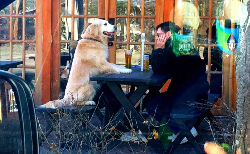 This Guy Is Having A Beer With His Golden Retriever, And Someone Wrote Hilarious Captions To Explain The Moment!