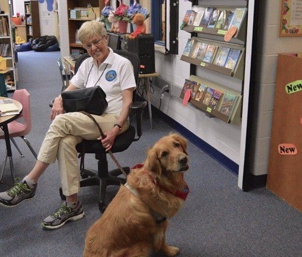 Kayla, The Golden Retriever Actively Listens When Kids Read Around Her!