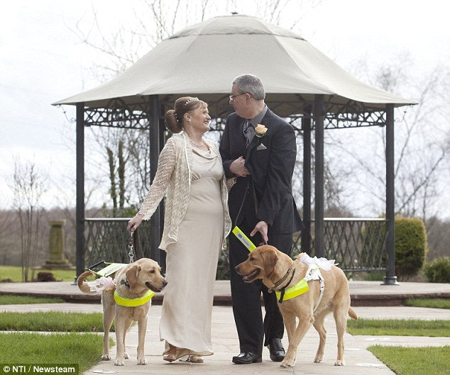 Blind Couple Marries After Their Retrievers Fall in Love!