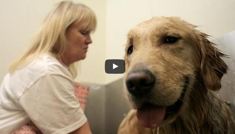 Golden Retriever Means More Than Just Companionship To This Incarcerated Women!