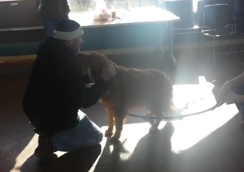 Golden Retriever Reunites With His Dad After Being Missing For 20 Months!