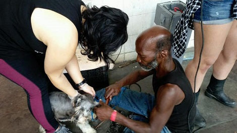 Homeless Man Grooms Rescued Harvey Puppies To Make Them Adorable Again