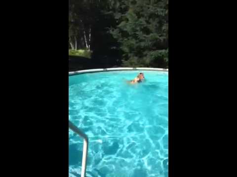 His Mommy Was Drowning In the Pool. Golden Retriever To The Rescue! #HeartWarming!