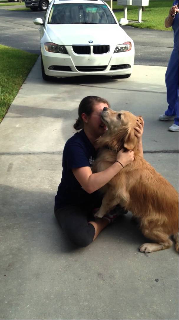 How This Adorable Golden Retriever Pup Welcomes Her Mom Will Melt Your Heart!