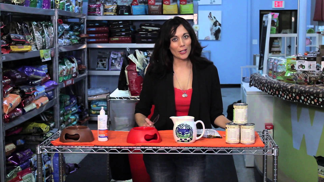 How To Feed A Dog Who Just Won't Eat Their Dry Dog Food? Here's A 101!