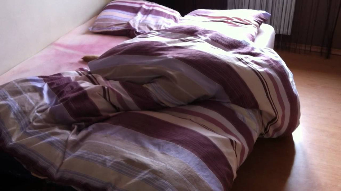 Is There A Labrador There? Keep Your Eyes On The Sheets Because In 7 Seconds You'll Be Surprised!