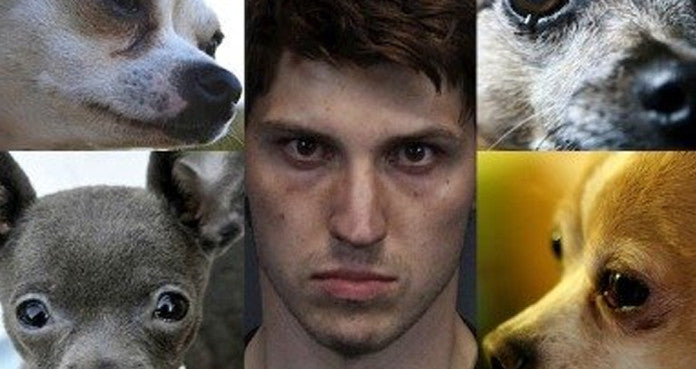 Jason Brown Gets 28 Years In Prison For Animal Cruelty