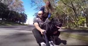 Labrador Goes Longboarding With His Human!