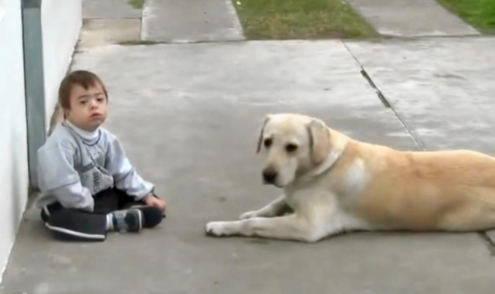 Labrador Befriends Child With Down Syndrome #TearJerker