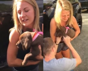 Man Proposes To Girlfriend With Help Of Surprise Birthday Labrador Puppy!