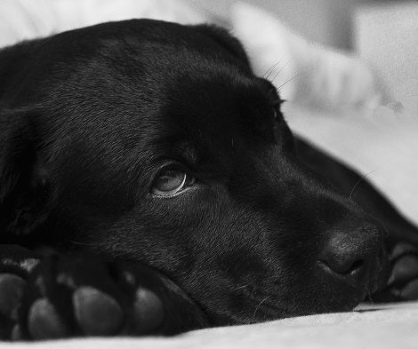 If You Live Near Moldy Conditions, This Is How It'll Affect Your And Y