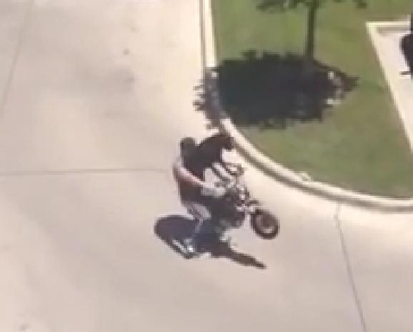 This Is A Video You Just Can’t Miss! Labrador Rides A Motorcycle With Owner!