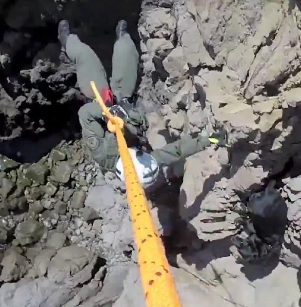 Faith In Humanity Restored! Watch How This Labrador Is Being Saved From 90-Foot Cliff!