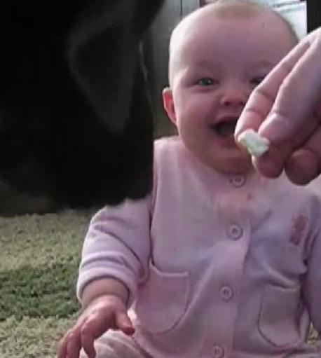 This Gorgeous Baby Is Watching A Labrador Eating Popcorn And Her Laughter Is Like Medicine For The Soul!