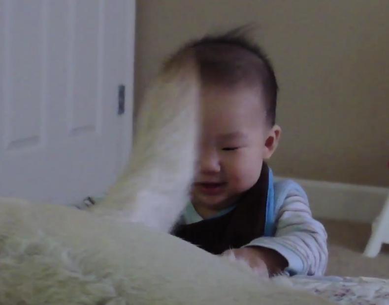 Cuteness Overload! Baby Giggles At Labrador Tail Waving In His Face!