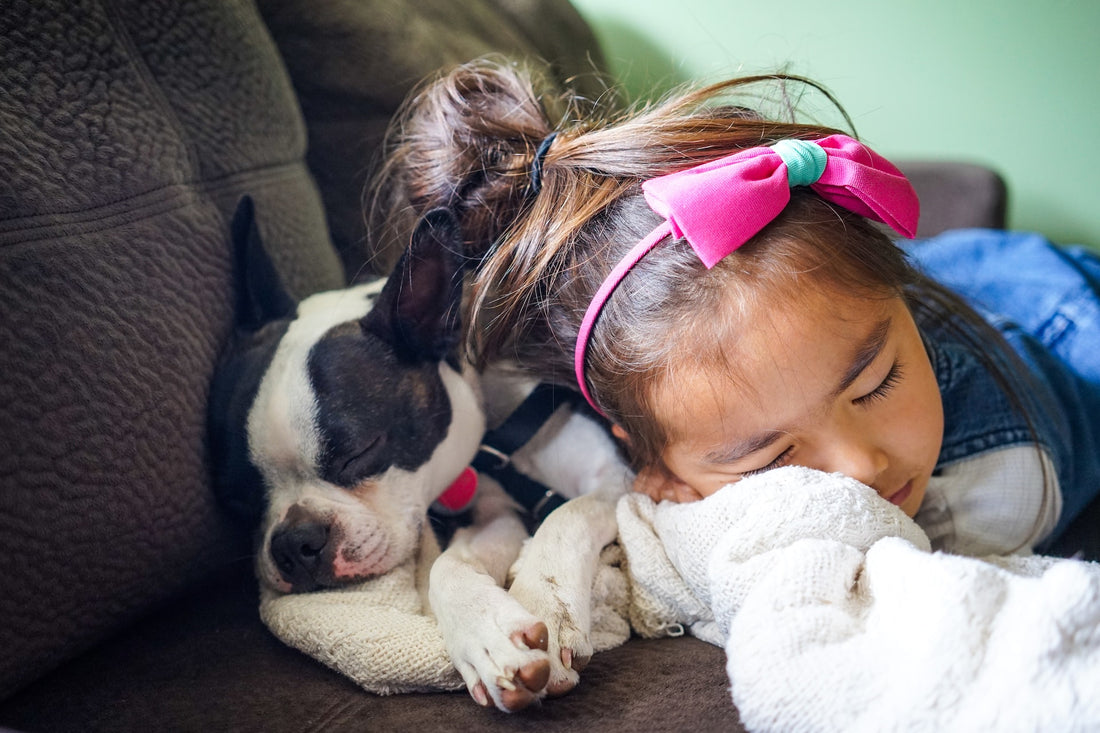 4 Benefits Kids Get From Having A Dog