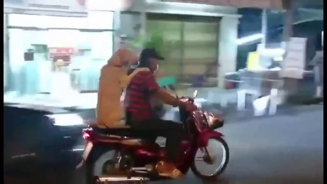 Man Didn't Want To Leave His Adorable Labrador Behind...So He Did THIS!