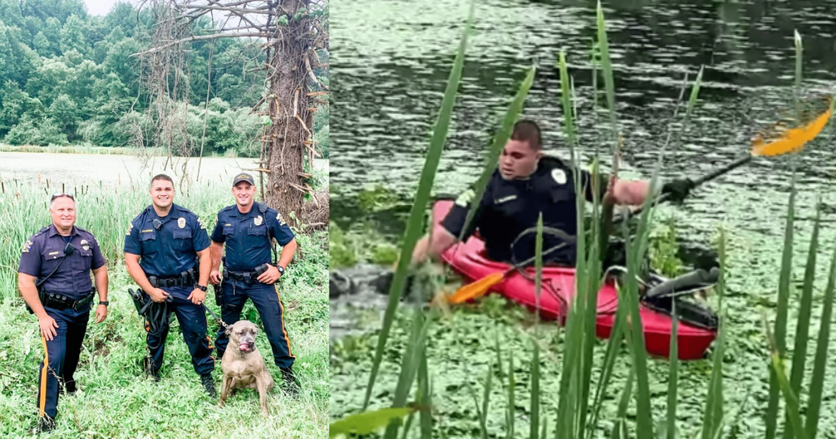 Hero Cop Uses Kayak To Rescue Dog From Muddy Pond – A Dog's Love