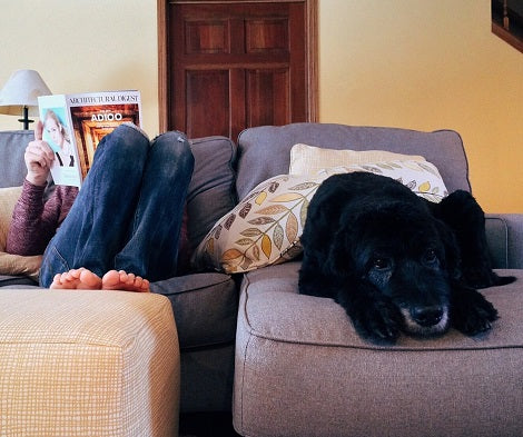 Natural Disaster Preparation For Your Dogs