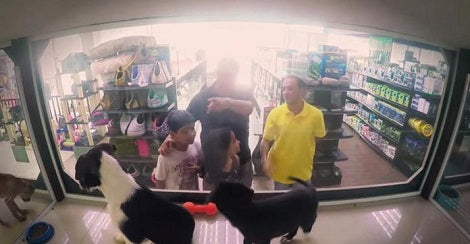 This Pet Shop Secretly Replaced All Pups With Shelter Rescues... Now Watch How People React