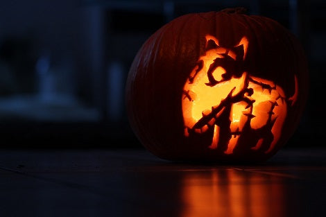 With Halloween Just Around The Corner, Here Are A Few More Tips To Keep Your Pups Safe