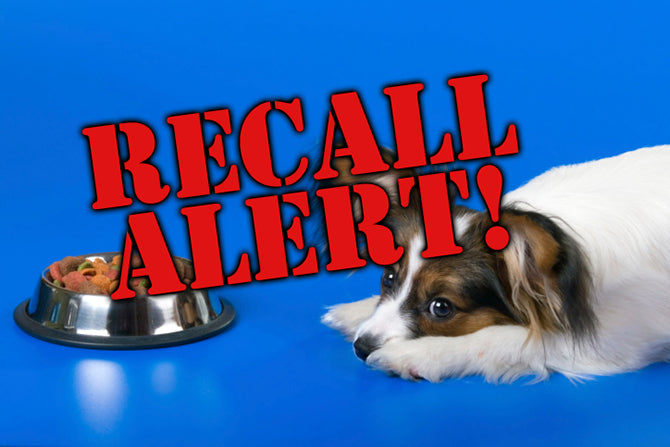 Popular Dog Food Recalled Due To Potential Salmonella Contamination