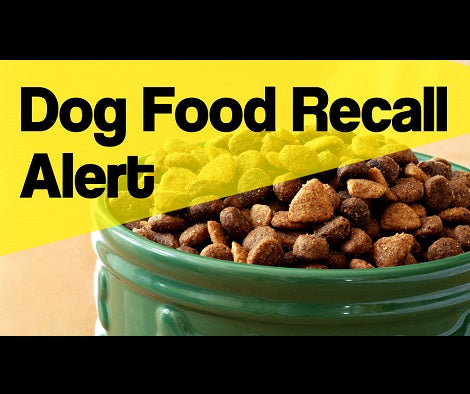 Popular Dog Food Recalled Due To Possible Salmonella Contamination