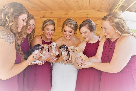 Bride Ditches Flowers For Puppy Bouquets To Remind Everyone To Rescue Dogs