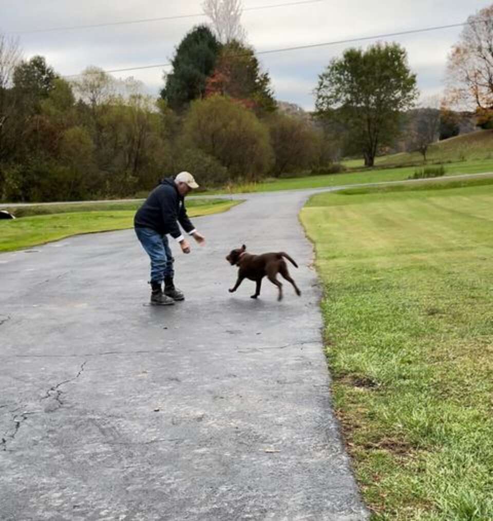 Rescue Dog Waits Patiently All Day To Welcome Her Dad Home From Work ...