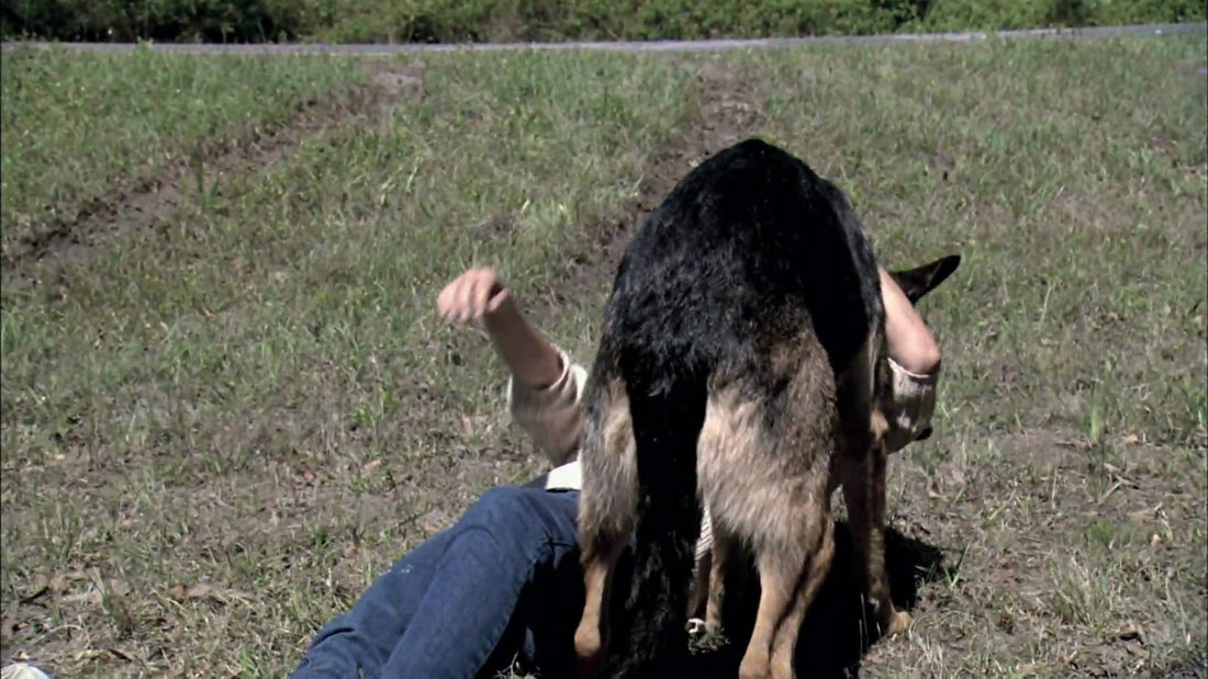 She Was Knocked Unconscious In The Middle Of Nowhere. Then Came This German Shepherd To Her Rescue!