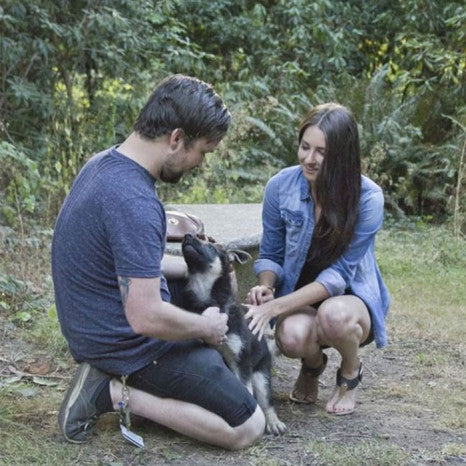 German Shepherd Puppy Plus A Ring Equals To Cutest Proposal Ever!