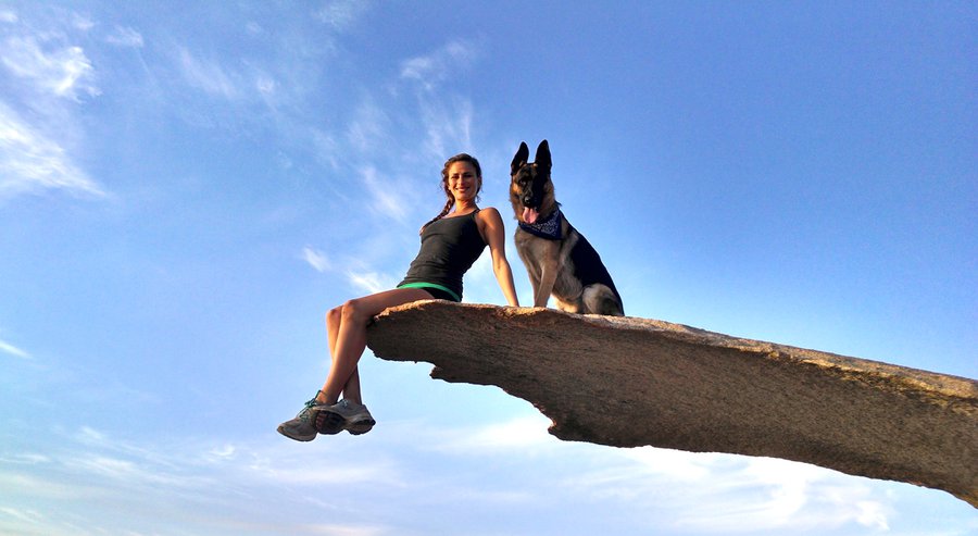 Veteran's Missing German Shepherd Service Dog Reunited With Human!