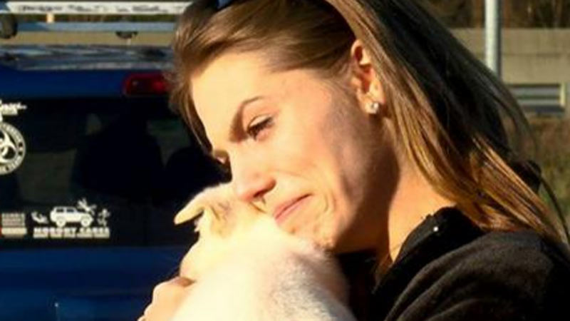 She Lost Her German Shepherd, And What Happens Next Will Melt Your Heart!